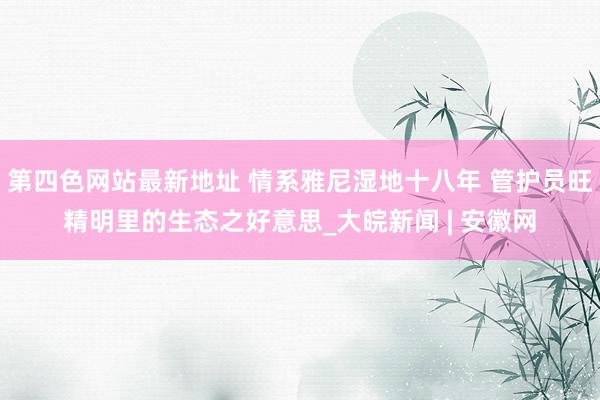 第四色网站最新地址 情系雅尼湿地十八年 管护员旺精明里的生态之好意思_大皖新闻 | 安徽网