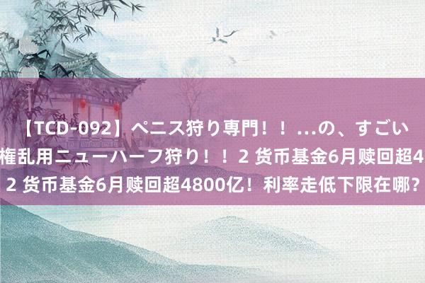 【TCD-092】ペニス狩り専門！！…の、すごい痴女万引きGメン達の職権乱用ニューハーフ狩り！！2 货币基金6月赎回超4800亿！利率走低下限在哪？