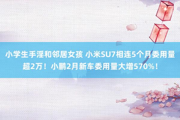 小学生手淫和邻居女孩 小米SU7相连5个月委用量超2万！小鹏2月新车委用量大增570%！
