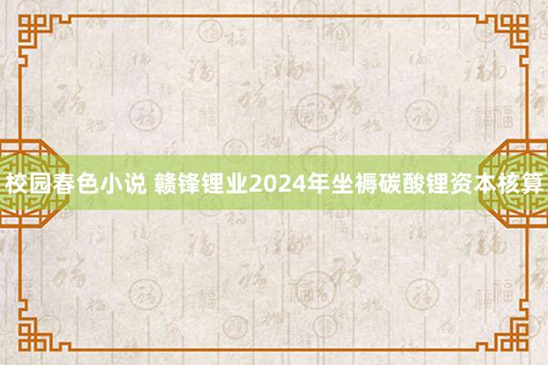 校园春色小说 赣锋锂业2024年坐褥碳酸锂资本核算