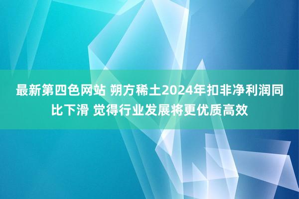 最新第四色网站 朔方稀土2024年扣非净利润同比下滑 觉得行业发展将更优质高效