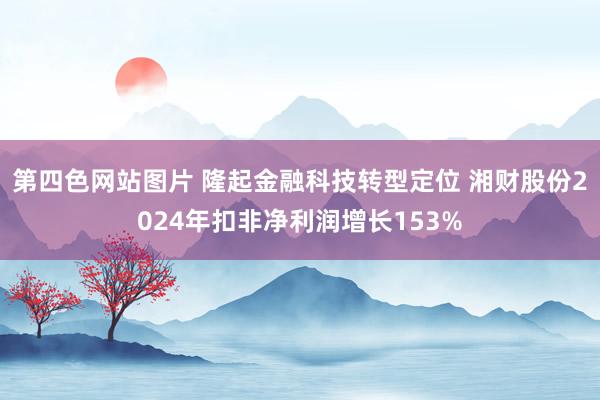 第四色网站图片 隆起金融科技转型定位 湘财股份2024年扣非净利润增长153%