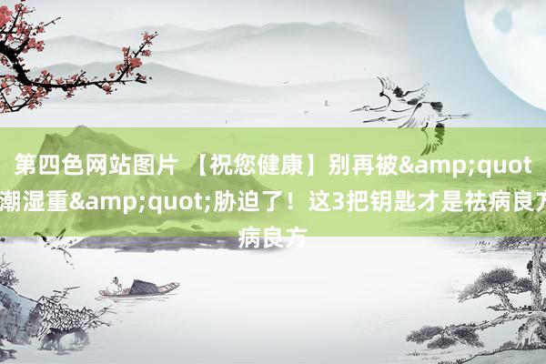 第四色网站图片 【祝您健康】别再被&quot;潮湿重&quot;胁迫了！这3把钥匙才是祛病良方