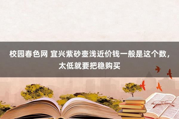 校园春色网 宜兴紫砂壶浅近价钱一般是这个数，太低就要把稳购买